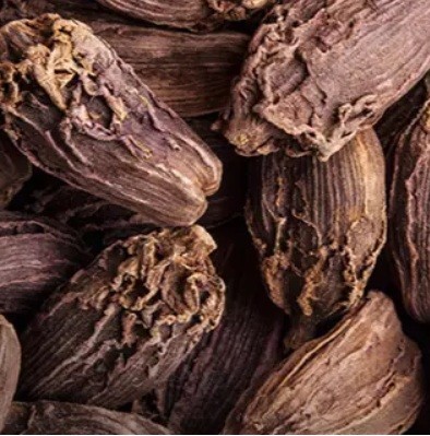 Black Cardamom (बड़ी इलायची)